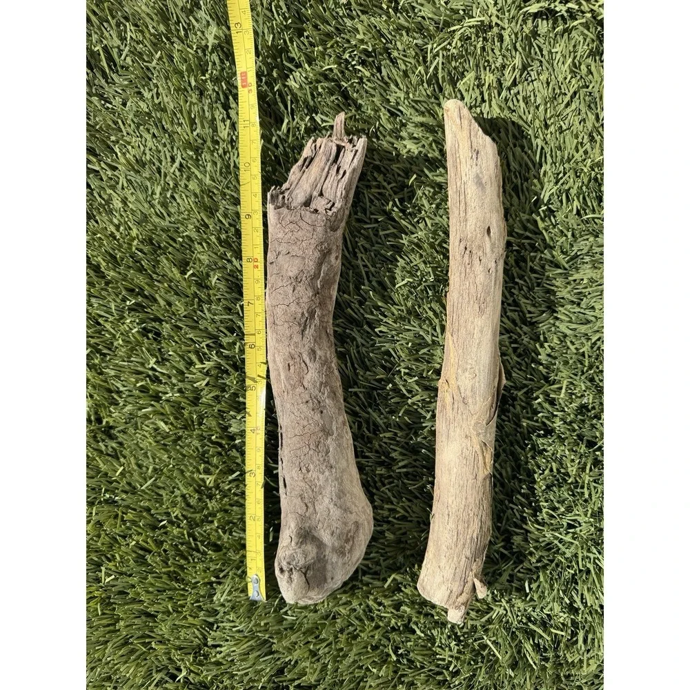 DRIFTWOOD Pacific O Natural (2 Pieces) Snake Head Aquarium Terrarium Beach Decor
